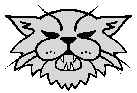 cat.gif